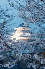 mk体育app莱斯特城-莱斯特城在MK体育APP中的闪耀之路