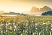 球探足球比分预测-解锁未来，球探足球比分预测的科学与艺术